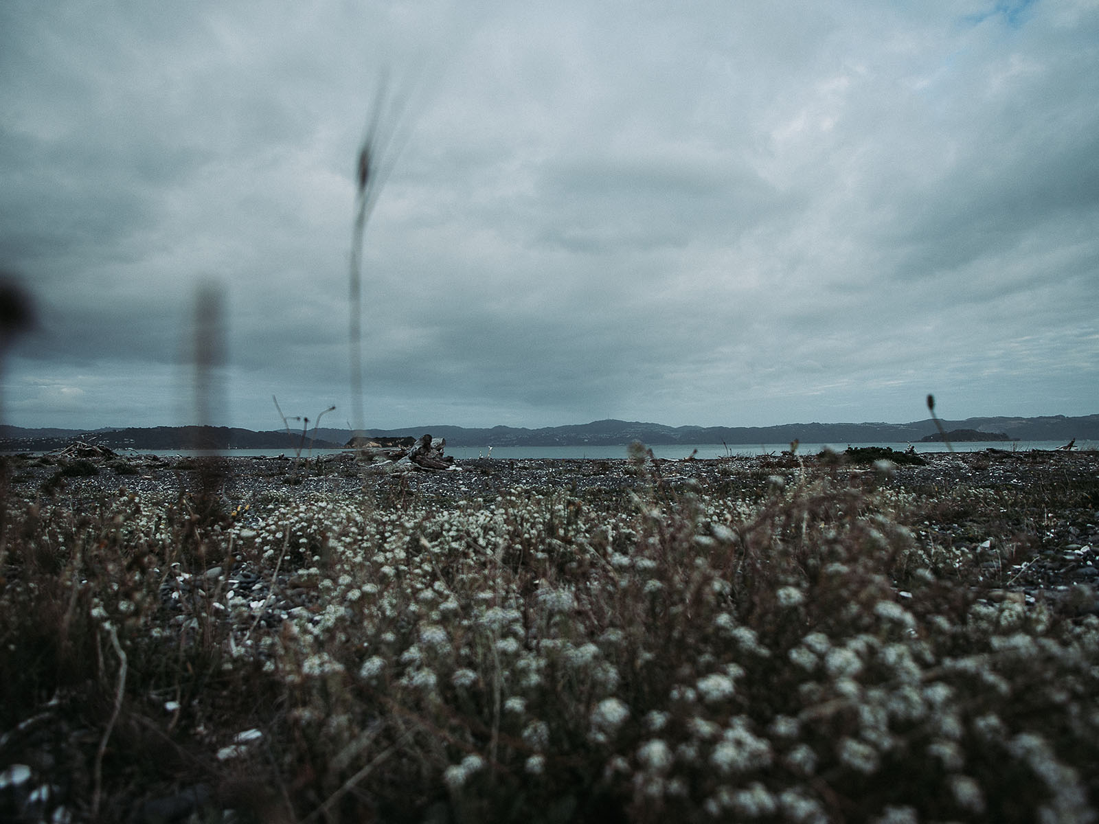 O Caminho entre a sebe